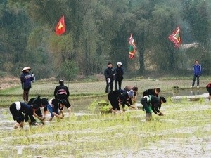 Long Tong festival recognized as a national intangible cultural heritage - ảnh 1